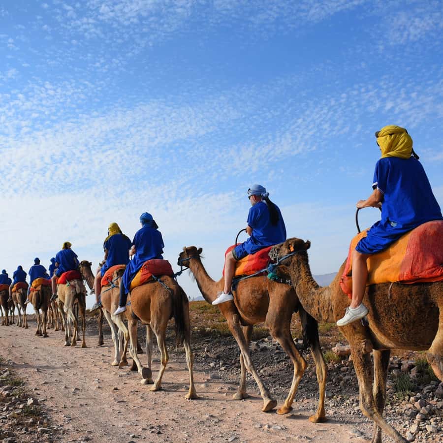 Marrakech: quad bike and Camel Ride in Marrakech - Two hours on a quad bike