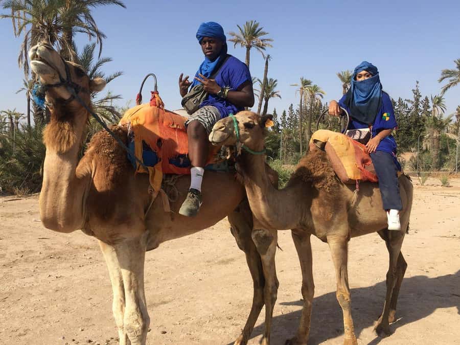 Marrakech: Quad Bike and Camel Ride Tour - Who will enjoy this Marrakech outing?