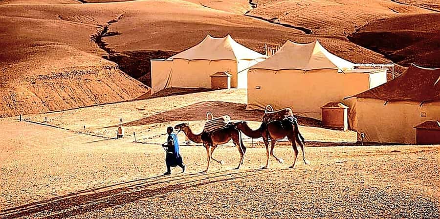 Marrakech : Quad Bike and Camel Ride with dinner in Agafay - The fire show brings the evening to a close