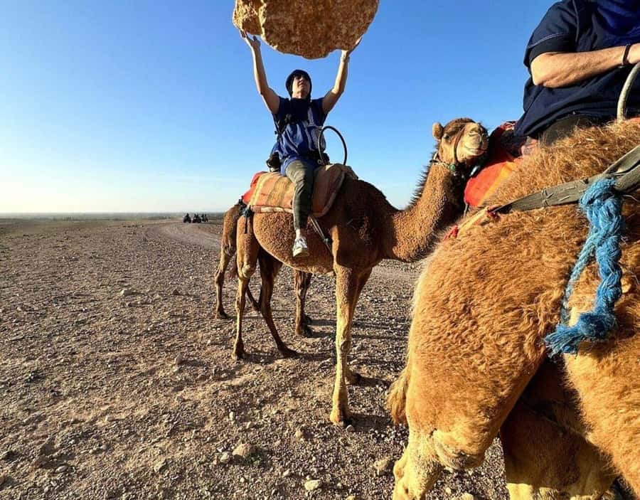Marrakech : Quad Bike and Camel Ride with dinner in Agafay - Tea and argan oil at the cooperative