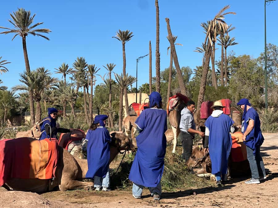 Marrakech: Quad Bike excursion at the sunset with Tea Break - Is $18 good value?