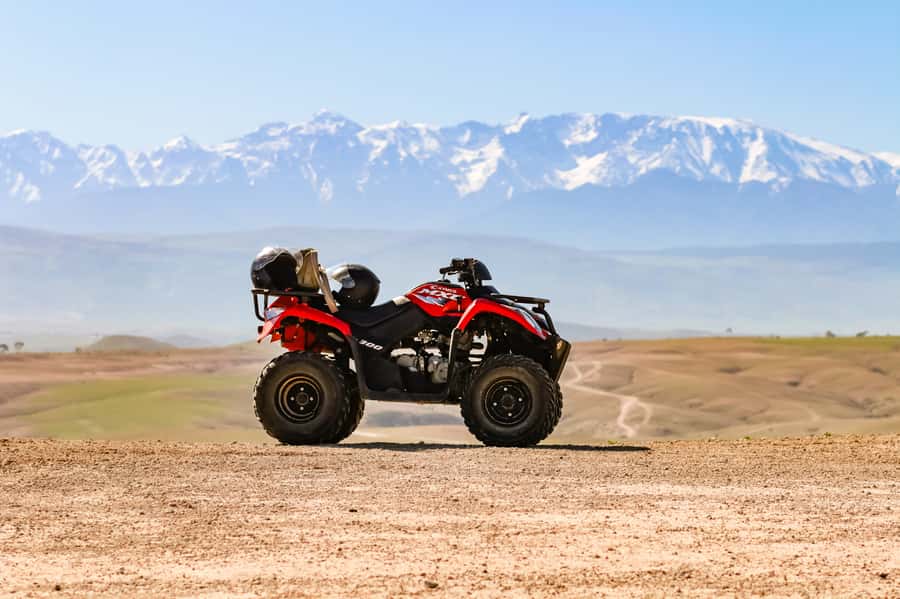 Marrakech Quad Bike Experience: Desert and Palmeraie - The village tea stop and Berber welcome
