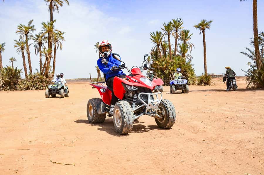 Marrakech: Quad Bike Tour to Palm Oasis and Jbilat Desert - The palm grove photo stop