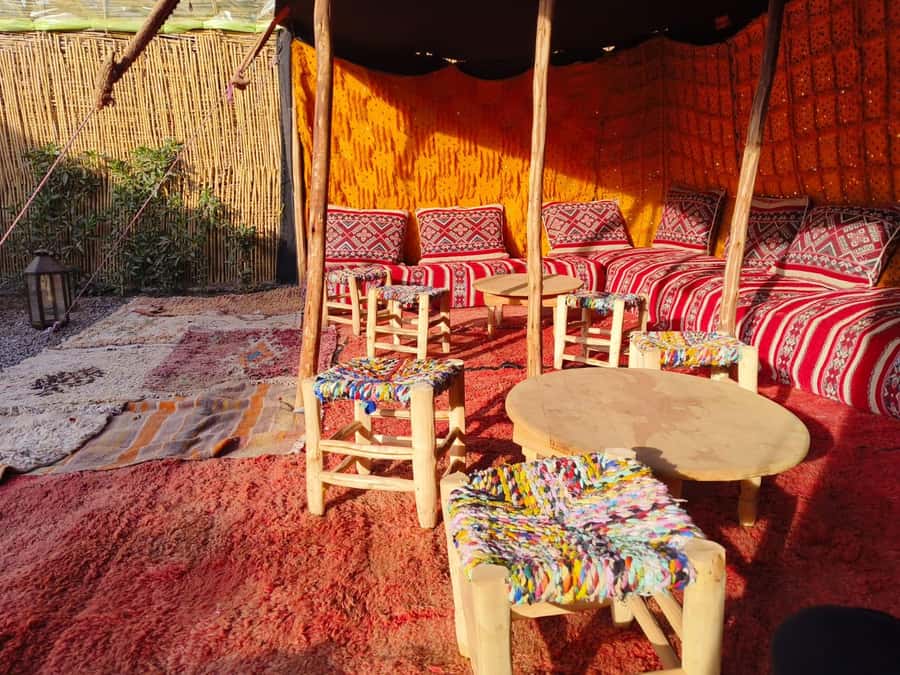 Marrakech: Quad Bike Tour to Palm Oasis and Jbilat Desert - Languages, timing, and practical preparation