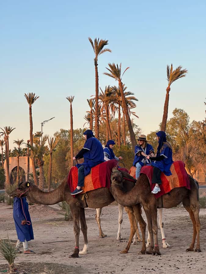 Marrakech:quad excursion at Jbilet desert with Moroccan tea - Key points to know before booking