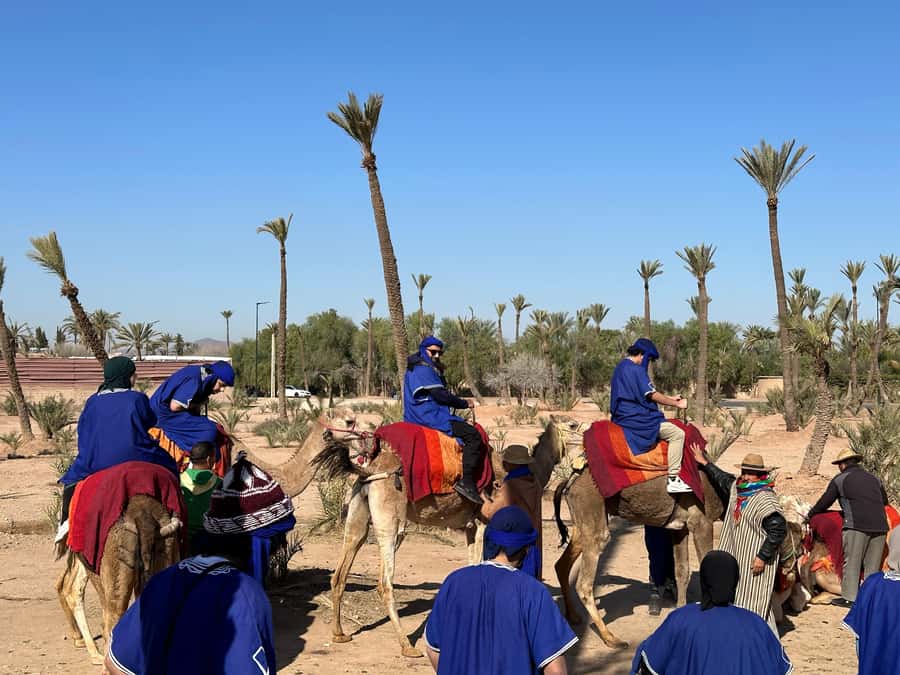 Marrakech:quad excursion at Jbilet desert with Moroccan tea - Booking advice, cancellation, and timing