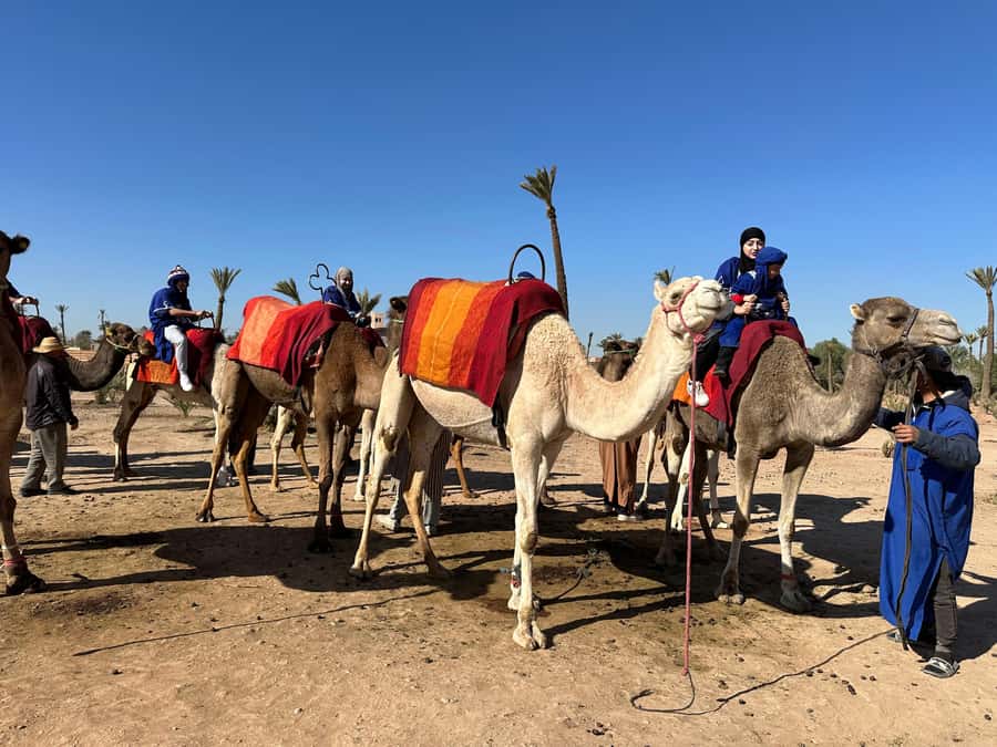 Marrakech:quad excursion at Jbilet desert with Moroccan tea - How the quad setup affects your booking