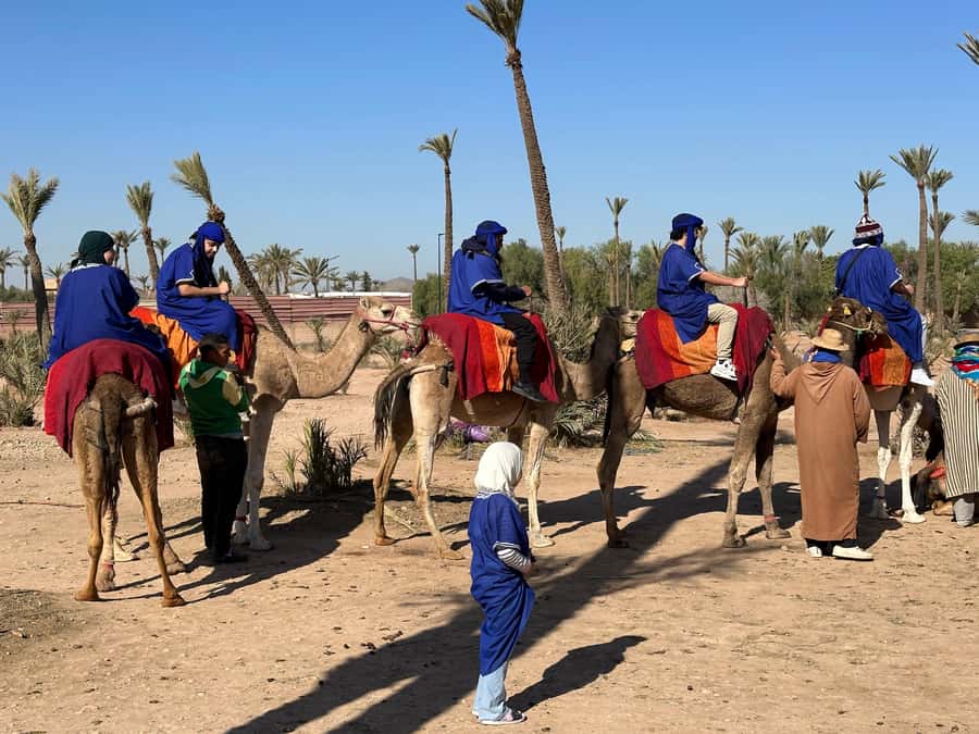 Marrakech:quad excursion at Jbilet desert with Moroccan tea - Photo stops and the best pause in the palm grove