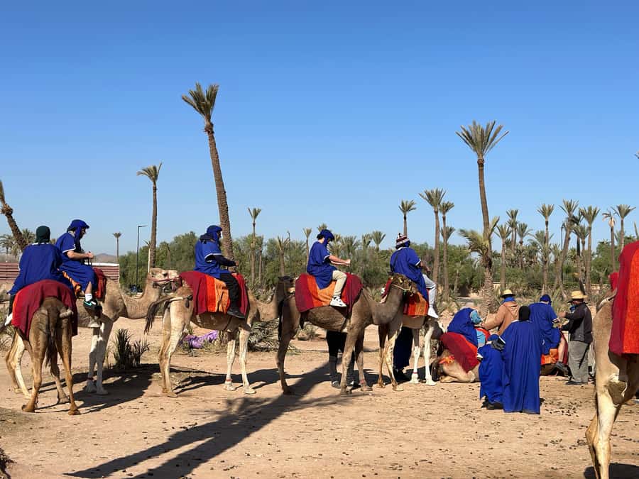 Marrakech:quad excursion at Jbilet desert with Moroccan tea - Safety, guides, and one road crossing