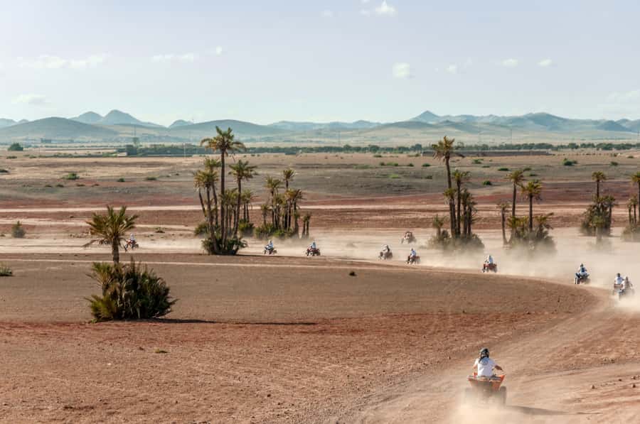 Marrakech: Quad Tour in Jbilets Desert with Palm Grove - One hour across rough desert tracks