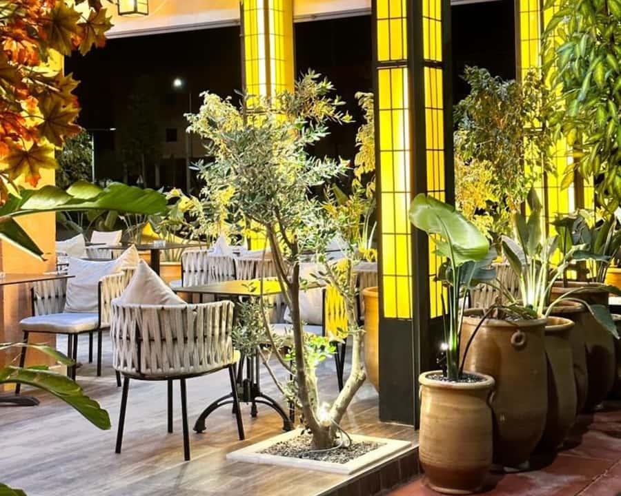 Marrakech: Restaurant Dinner Experience with Hotel Pickup - Food quality, portions, and what $35 really buys