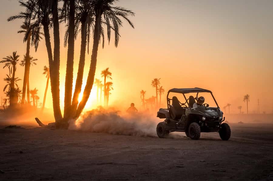 Marrakech : Ride buggy in the desert of the palm grove - Key points to know before you book
