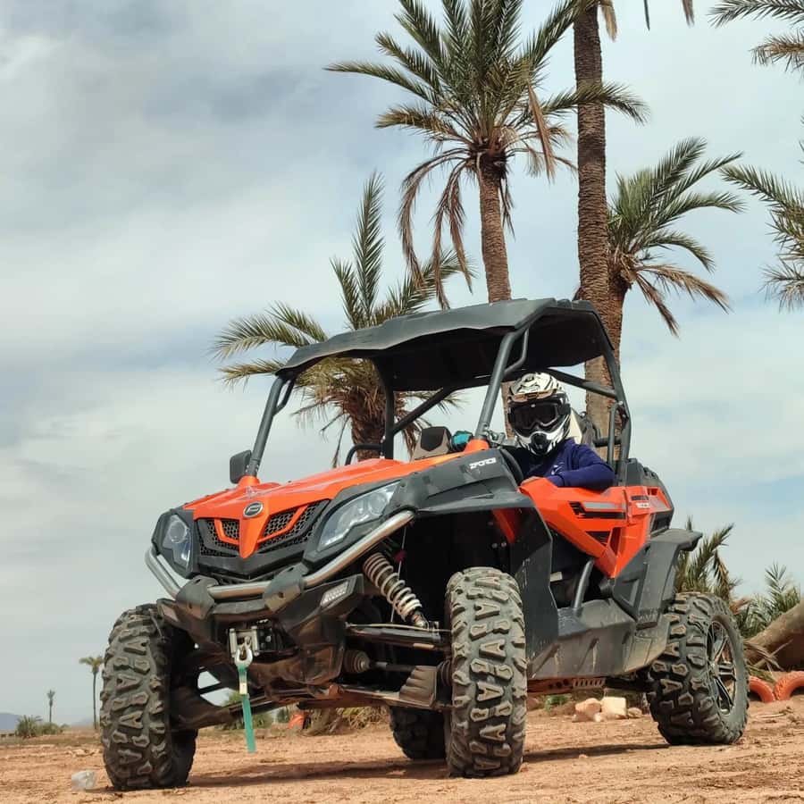 Marrakech : Ride buggy in the desert of the palm grove - What the $40 price really covers