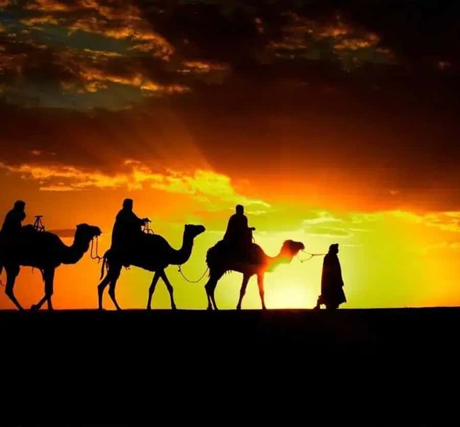 Marrakech: Sunrise Desert Tour with Camel Ride and Breakfast - Key points at a glance