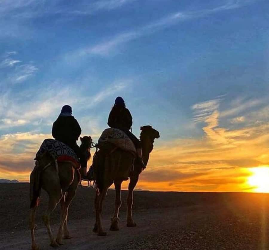 Marrakech: Sunrise Desert Tour with Camel Ride and Breakfast - Why this early morning tour works