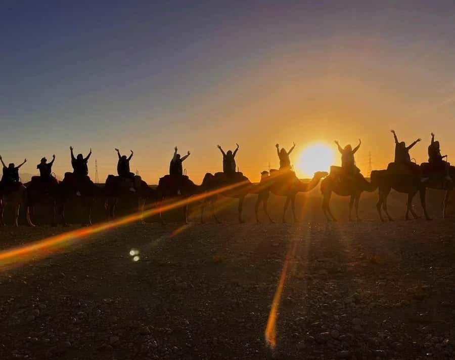 Marrakech: Sunrise Desert Tour with Camel Ride and Breakfast - Guides, drivers, and the human side of the trip