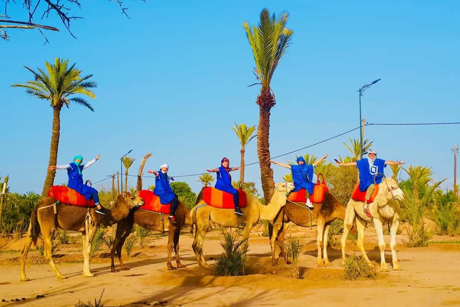 Marrakech: Sunset Camel Ride in Palmeraie - Key points to know before booking