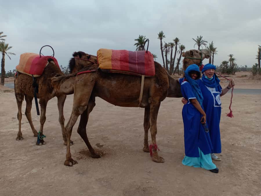 Marrakech: Sunset Camel Ride in the Palmeraie - Leaving Marrakech for the Palmeraie