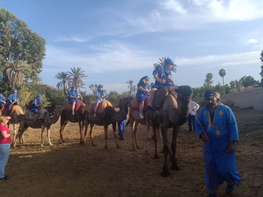 Marrakech: Sunset Camel Ride in the Palmeraie - Meeting the camel caravan