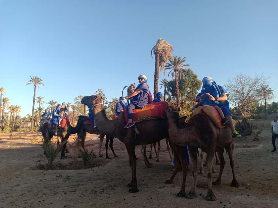 Marrakech: Sunset Camel Ride in the Palmeraie - Who will enjoy this camel ride?