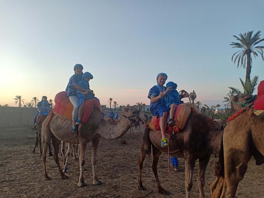 Marrakech: Sunset Camel Ride in the Palmeraie - Practical tips for a better outing