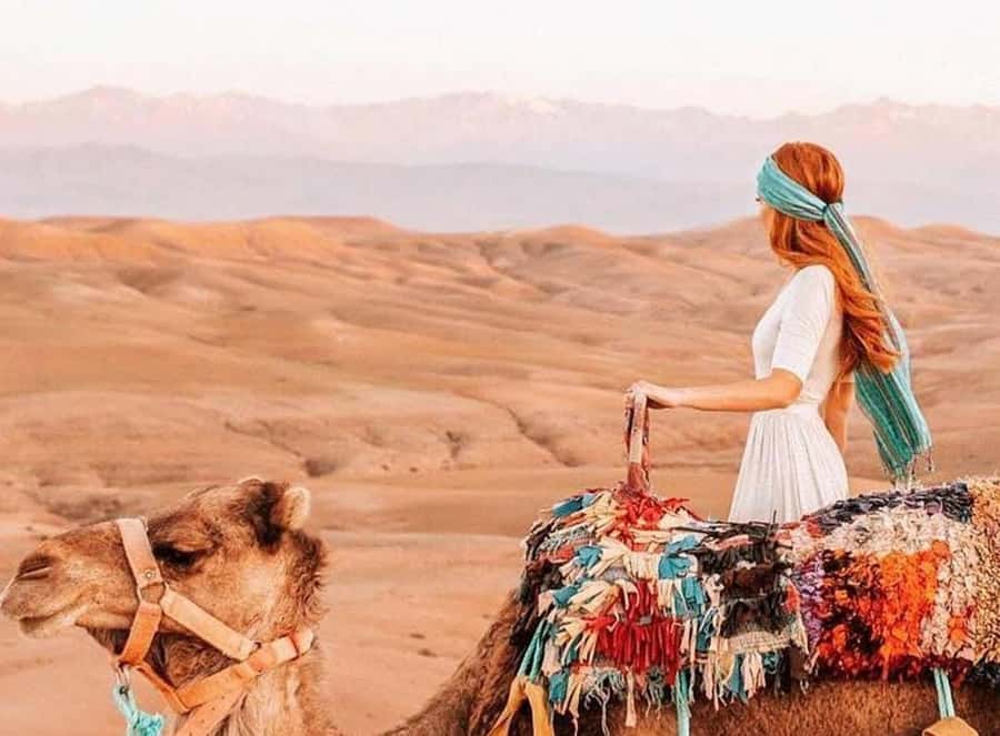 Marrakech: Sunset Dinner in Agafay Desert with Camel Ride - Key points to know before booking