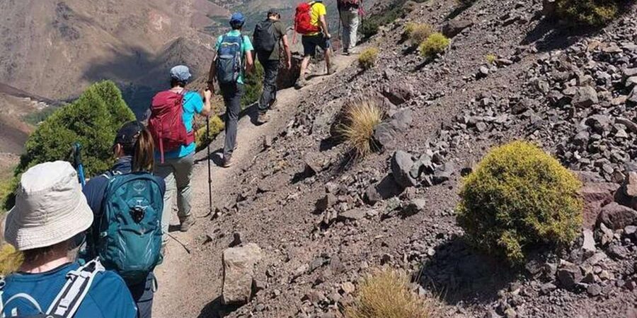 Marrakech: Tedli Summit Atlas Mountains Day Hike & Lunch - The argan stop and other extras