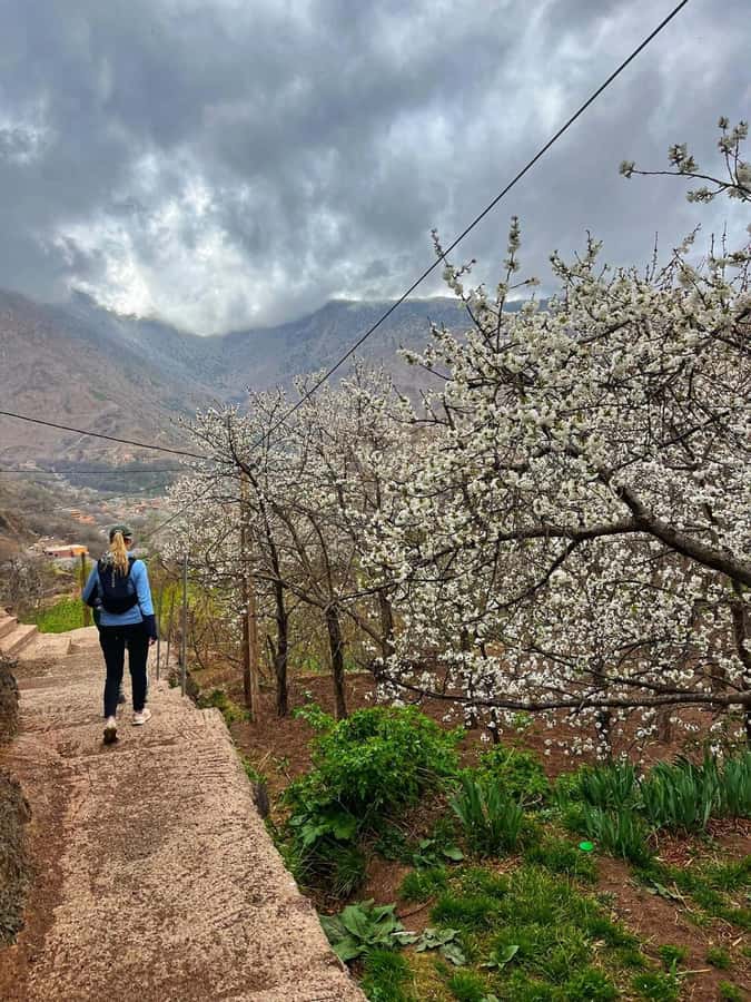 Marrakech: Tedli Summit Atlas Mountains Day Hike & Lunch - Starting at 1,740 meters in the Imlil Valley