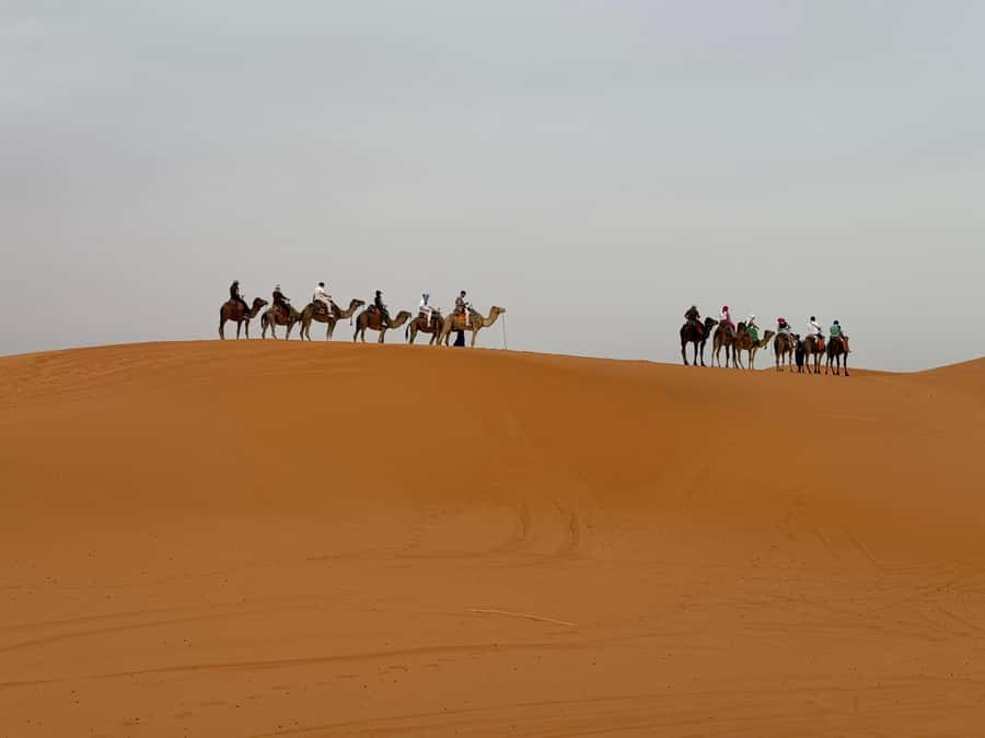 Marrakech To Fes: 3-Day Majestic Desert Sahara Tour - Sunrise, camels, and the long road to Fes