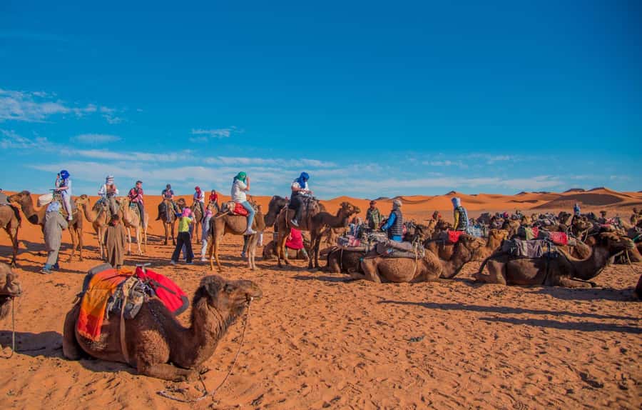 Marrakech to Fes: 3-Day Merzouga Desert Camel & Sandboarding - The desert sunset, the kasbah, and the cedar monkeys