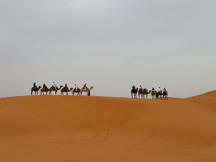 Marrakech to Fes 3-Day Sahara Desert Tour - Why this route works so well