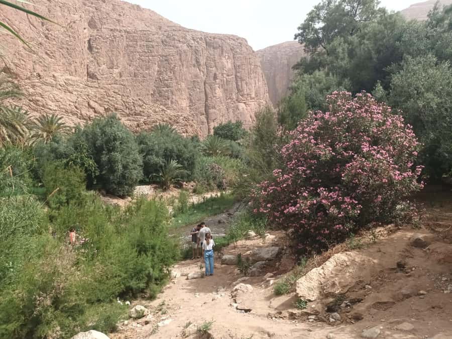 Marrakech to Fes 3-Day Sahara Desert Tour - The minivan, group size, and comfort