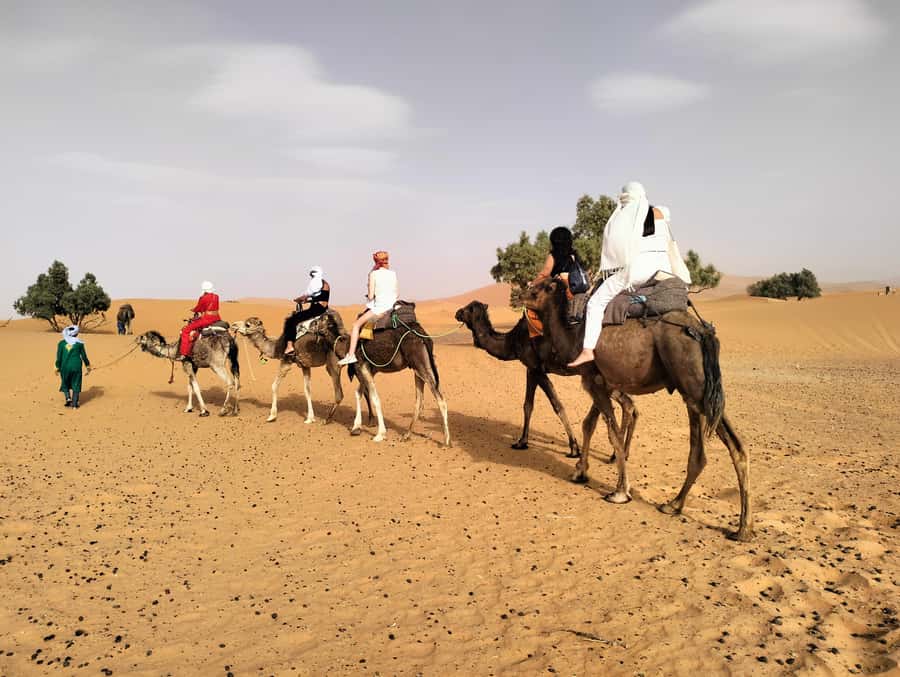 Marrakech to Fes 3 Days Sahara Desert Tour With Camel & Quad - Camel trekking, camp life, and practical comfort