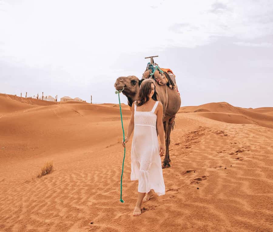 Marrakech to Fes: Quad, Dinner, Camel, 3-Day Desert Tour - Day one: Tizi n’Tichka and Aït Benhaddou