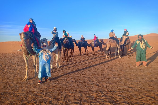 Marrakech to Fez via Merzouga Desert 3-Days Sahara Tour - Day two: Rose Valley, Todra Gorge, and the Sahara