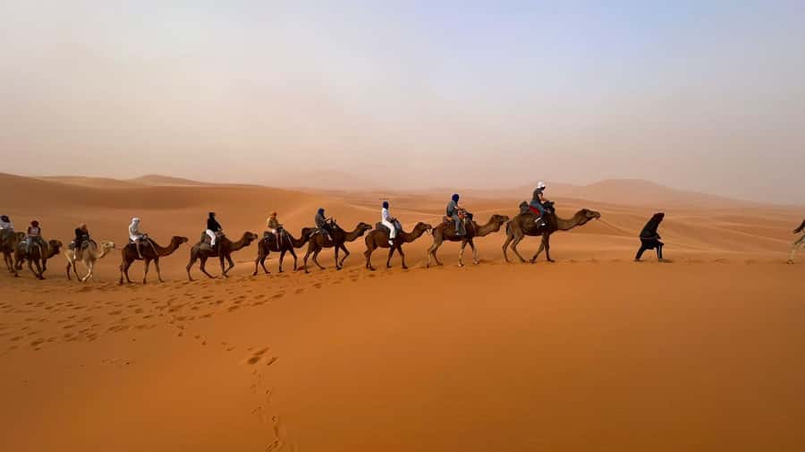 Marrakech to Merzouga: 3-Day Desert Adventure - Who will enjoy this three-day desert trip?