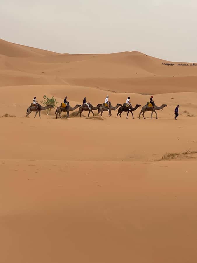 Marrakech To Merzouga : 3-Day Dreams Tours & Luxury Camp - What the $208 Price Really Covers