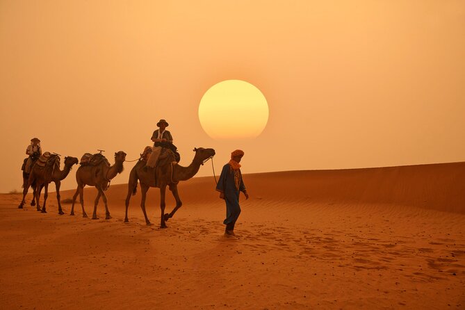 Marrakech to Merzouga Desert 3-Day via the High Atlas Mountains - Ouarzazate, rose country, and the Dades Valley