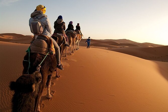 Marrakech to Merzouga Desert 3-Day via the High Atlas Mountains - Ait Ben Haddou gives day one a strong start