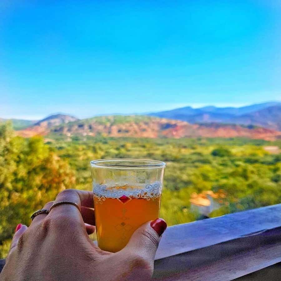 Marrakech to Ourika Valley-Scenic Day Tour Lunch & Waterfal - Argan oil at a women’s cooperative