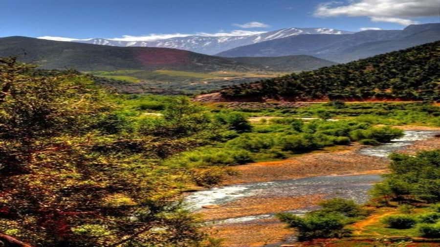 Marrakech to Ourika Valley-Scenic Day Tour Lunch & Waterfal - Riverside lunch after the walk