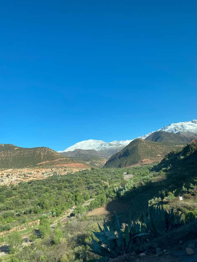 Marrakech to Ourika Valley-Scenic Day Tour Lunch & Waterfal - What the $13 price really offers