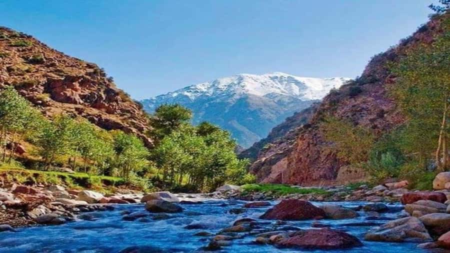 Marrakech to Ourika Valley-Scenic Day Tour Lunch & Waterfal - A Berber home and a closer look at local life