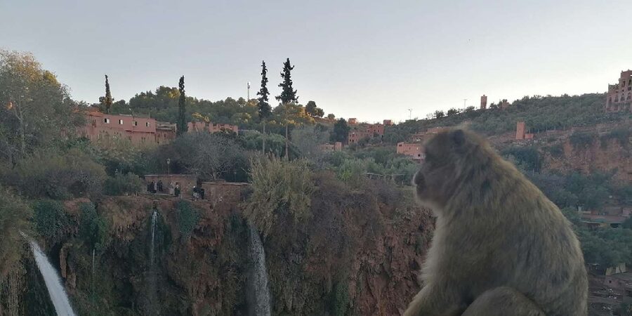 Marrakech to Ouzoud waterfalls day tour - Guide & boat ride - What the $20 price really buys you