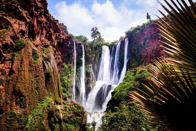 Marrakech To Waterfalls Ouzoud Day trip - The 8:00 a.m. start in Marrakech