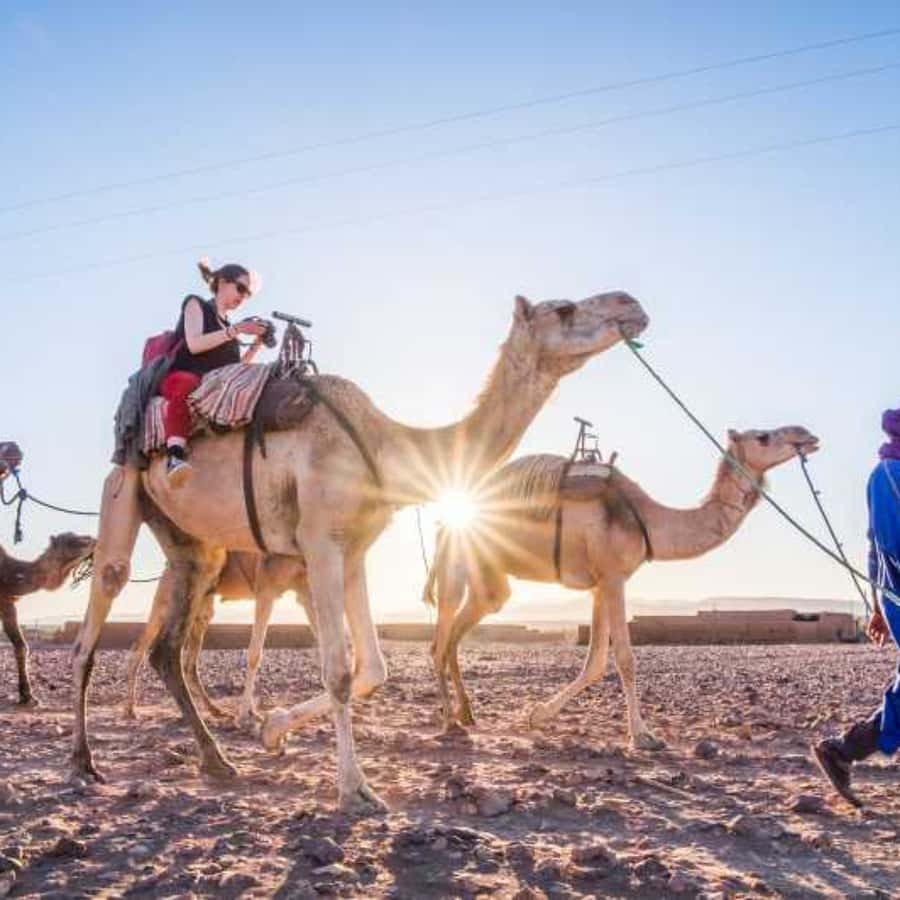 Marrakech to Zagora:2-Day Luxury Sahara Tour with Camel Ride - What the $56 price really covers