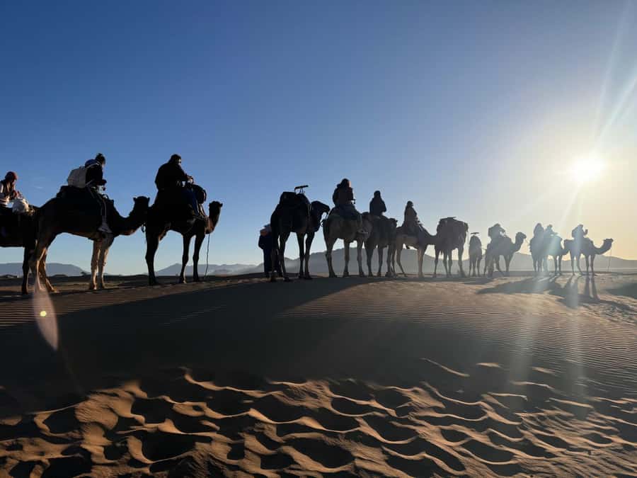 Marrakech to Zagora:2-Day Luxury Sahara Tour with Camel Ride - Why this Marrakech to Zagora route works