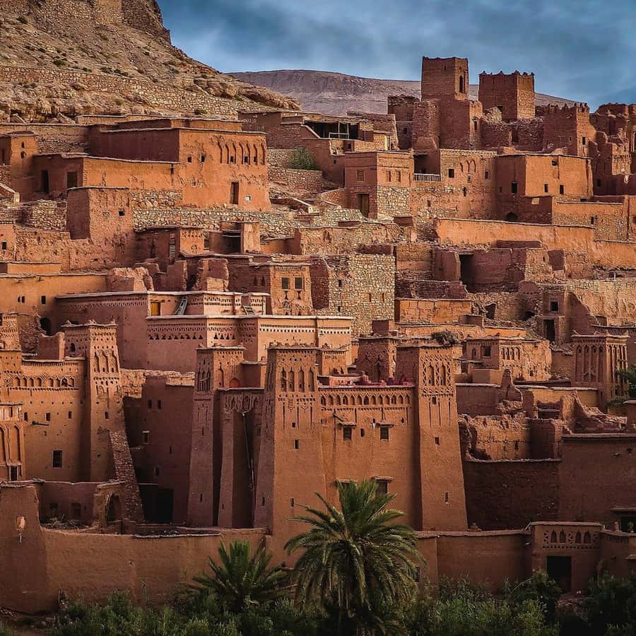 Marrakech to Zagora:2-Day Luxury Sahara Tour with Camel Ride - Sunrise, breakfast, and the road back