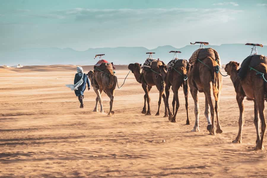 Marrakech to Zagora Desert: 2-Day trip via Ait Benhadou - Key points at a glance