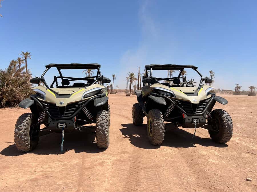 Marrakech: Tour Buggy 1000cc In Palm Oasis and Jbilat Desert - The essential details at a glance